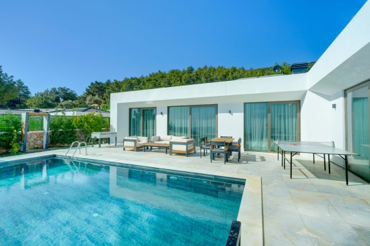 Villa Suzy 8