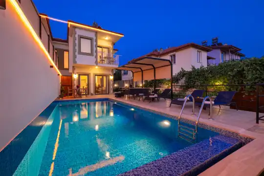 Villa Dayı 2